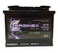 Аккумулятор ERGINEX (6СТ 060) LR о/п (242х175х190/480 EN)