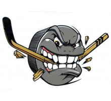 Наклейка Шайба злая 17х13см