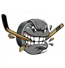 Наклейка Шайба злая 17х13см