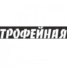 Наклейка 9 МАЯ вырез. (пл.) Трофейная (110х630) надпись цвет белый _