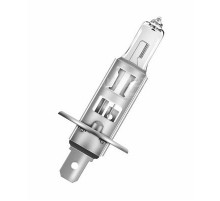 Лампа H1 12V 55W standart P14,5s Диалуч ЛЧ126-Б