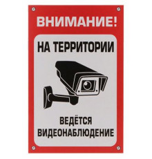 Табличка Ведется видеонаблюдение  пластик 3мм 30х19,5см