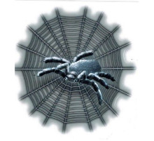 Наклейка Паук на паутине 16,5х16,5см