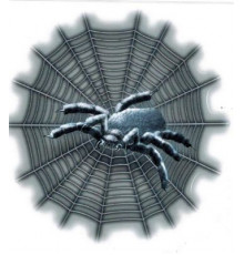 Наклейка Паук на паутине 16,5х16,5см