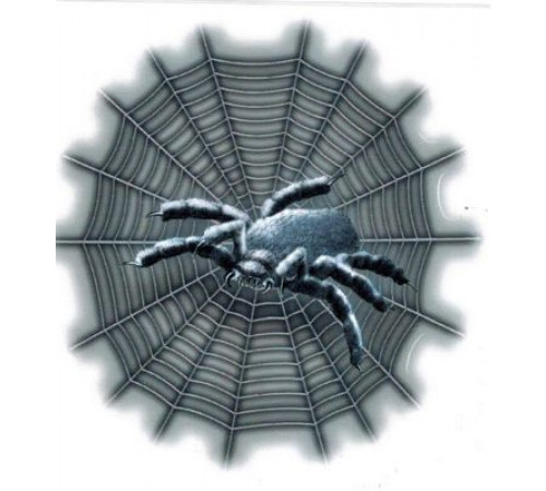 Наклейка Паук на паутине 16,5х16,5см
