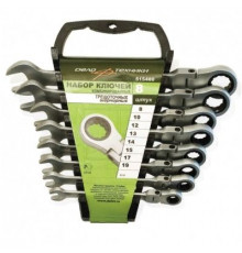 Набор ключей комб. трещоточных шарнирных 06 шт. (8,10,12,13,14,17мм) пластик. холдер ДТ