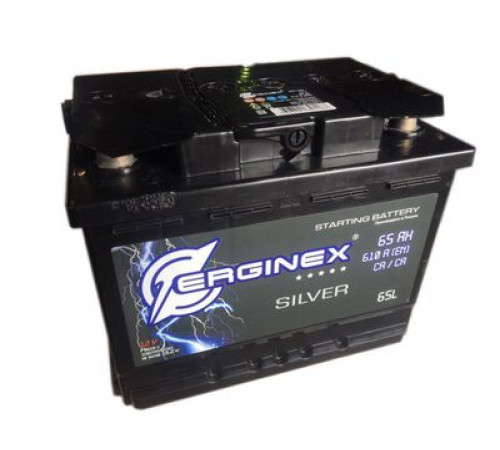 Аккумулятор ERGINEX (6СТ 065) LR о/п (278х175х190/610 EN)