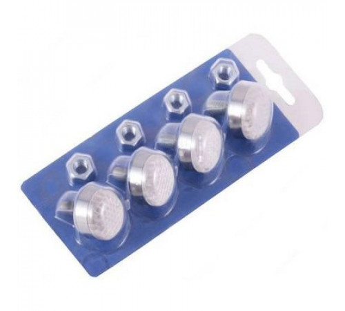 Болты крепления номера с катафотом (2бел2 красн. серебристый кант)