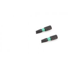 Бита ударная 1/4'', SL5,5 × 25 мм, 2 шт. ДТ