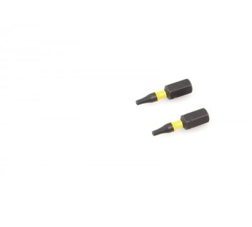 Бита ударная 1/4'', Т9 × 25 мм с отверстием, 2 шт. ДТ