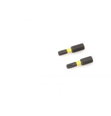 Бита ударная 1/4'', Т25 × 25 мм с отверстием, 2 шт. ДТ