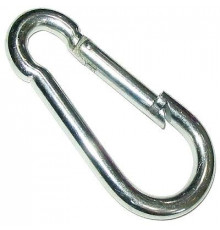 Карабин 10х100