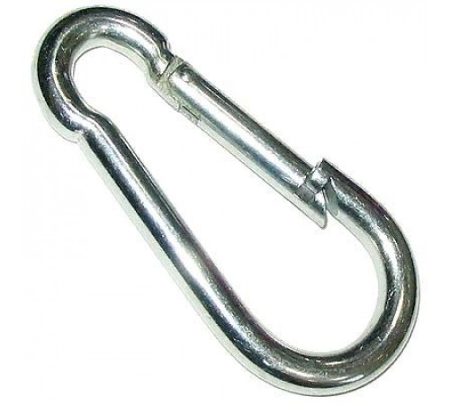 Карабин 10х100