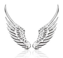 Шильдик металл, Крылья размер 40х110мм