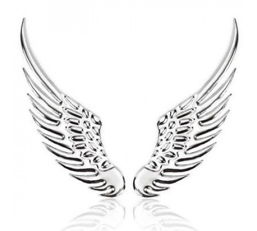 Шильдик металл, Крылья размер 40х110мм